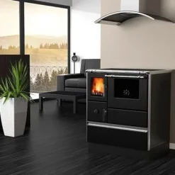 Puuliesi AlfaPlam Dominant Eco design 70 lasiovella 7 kW (90-175 m²), eri värejä