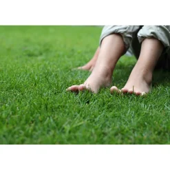 Puutarhamulta GreenCare 80 säkkiä x 40 litraa/lava 3200 litraa