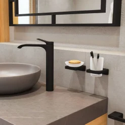 Saippuateline Hansgrohe AddStoris Q, eri värejä