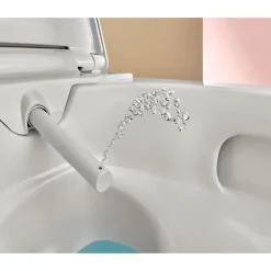 Seinä-WC-istuin Geberit Alba, pesevä, valkoinen