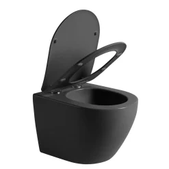 Seinä-WC-istuin Interia Pacho Rimless, soft-close -kannella, eri värejä
