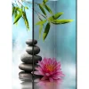 Sermi Artgeist Water Lily and Zen Stones 135x172cm