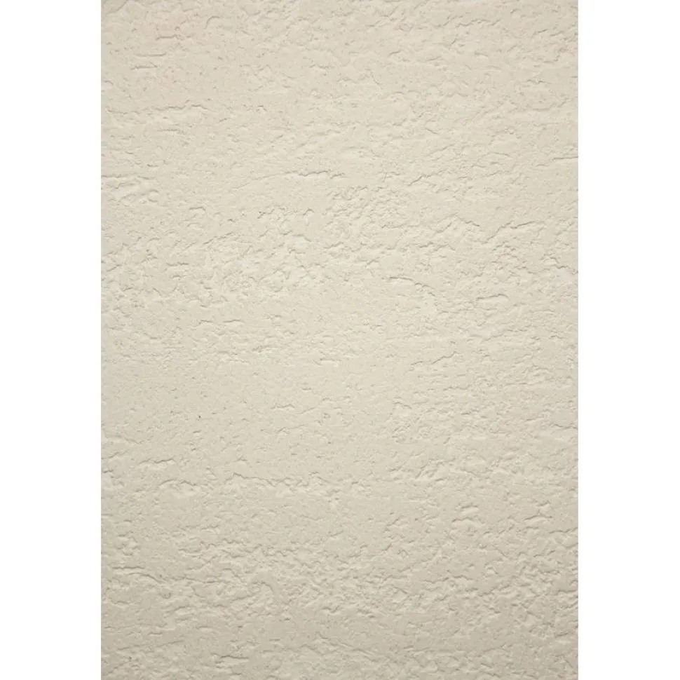 Sisustuslaasti SBL Cameleo Travertine Rough Classic Effect kuivan tilan seinään 6,5m²