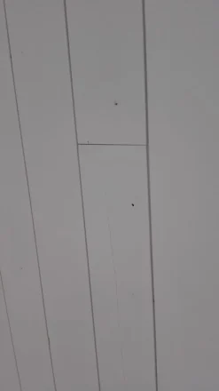 Sisustuspaneeli Aure Riihi STS PN 15x120x2500mm harjattu puhtaan valkoinen