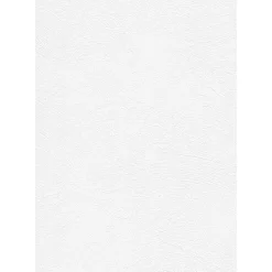 Tasoitetapetti Patent Decor Express 2216, 0,75x 25m, yksivärinen, valkoinen