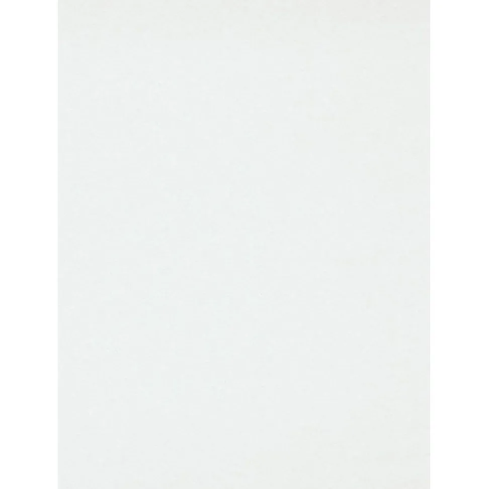 Tasoitetapetti Patent Decor Professional 9790, 1,06x25m, yksivärinen, valkoinen