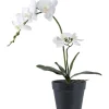 Tekokasvi House Nordic Orkidea, 49cm, valkoinen/vihreä