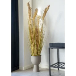 Tekokasvi House Nordic Sudaninruoho Sorghum Grass, 110cm, ruskea
