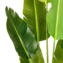 Tekokasvi Lykke Bird of Paradise, 200cm