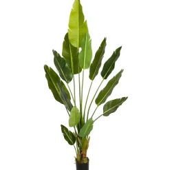 Tekokasvi Lykke Bird of Paradise, 200cm