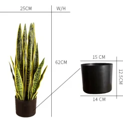 Tekokasvi Lykke Snake Plant, 65cm