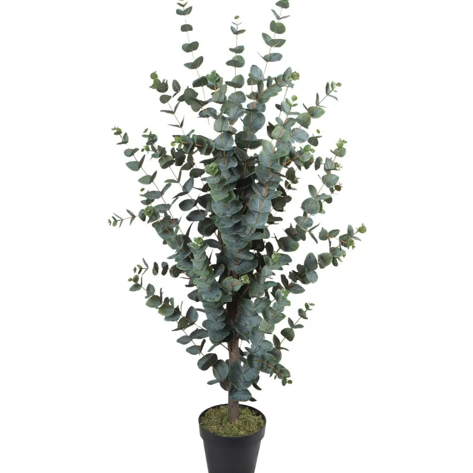 Tekopuu Home4You WIND EUCALYPTUS K120 cm, vihreä
