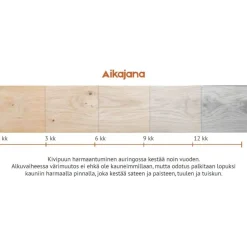Terassilauta Kivipuu SHP 28x145mm mänty
