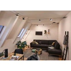 Vaijerivalaisin Paulmann CorDuo Circle, 180lm, 5W, 3000K, 12V, eri värejä