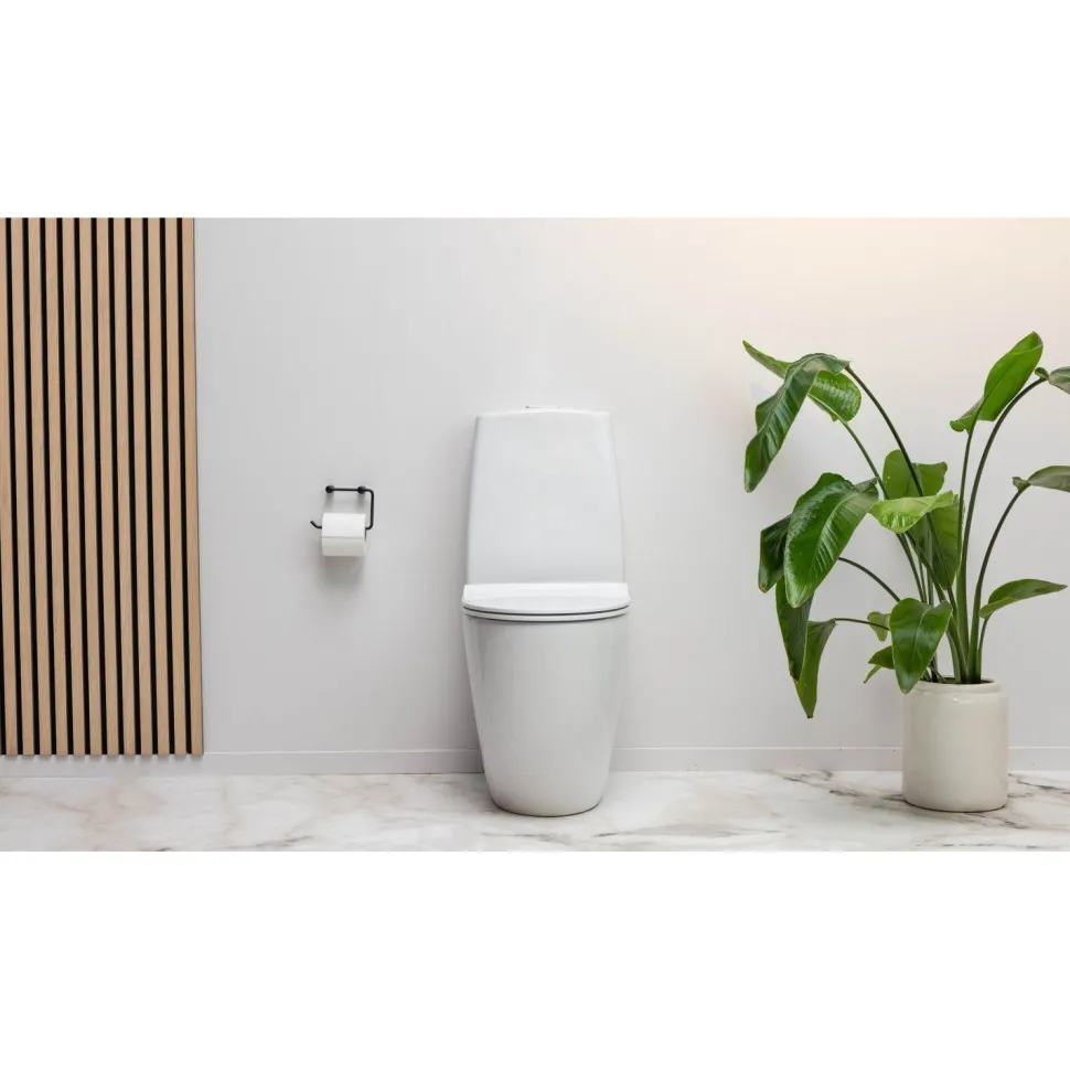 WC-istuin IDO Glow Art, piilo-S-lukko, 2-huuhtelu, TurboFlush, Soft Close -kansi