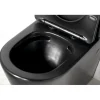 WC-istuin Interia Pako Rimless soft-close -kannella kaksoishuuhtelu, mattamusta