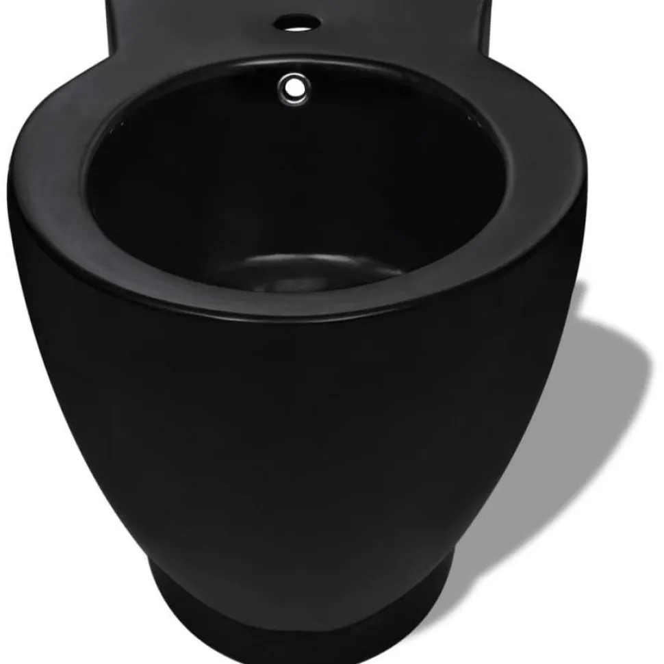 WC-istuin ja bidee musta